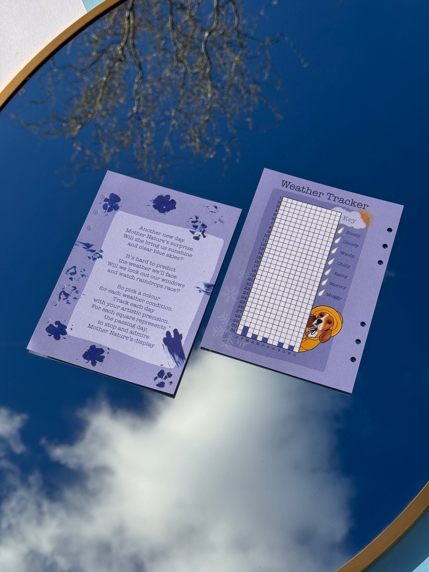Weather tracker