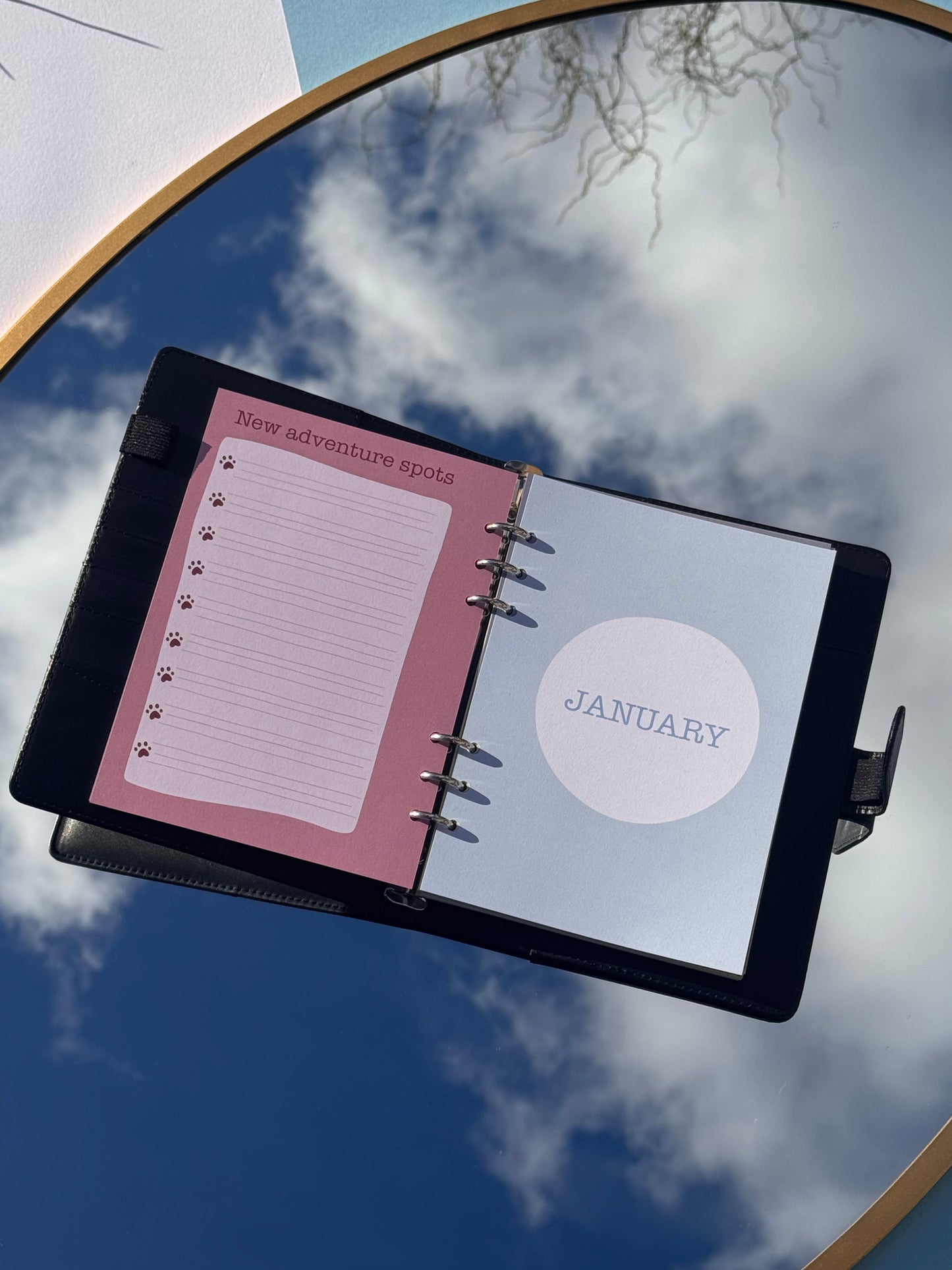 2025 season diary inserts