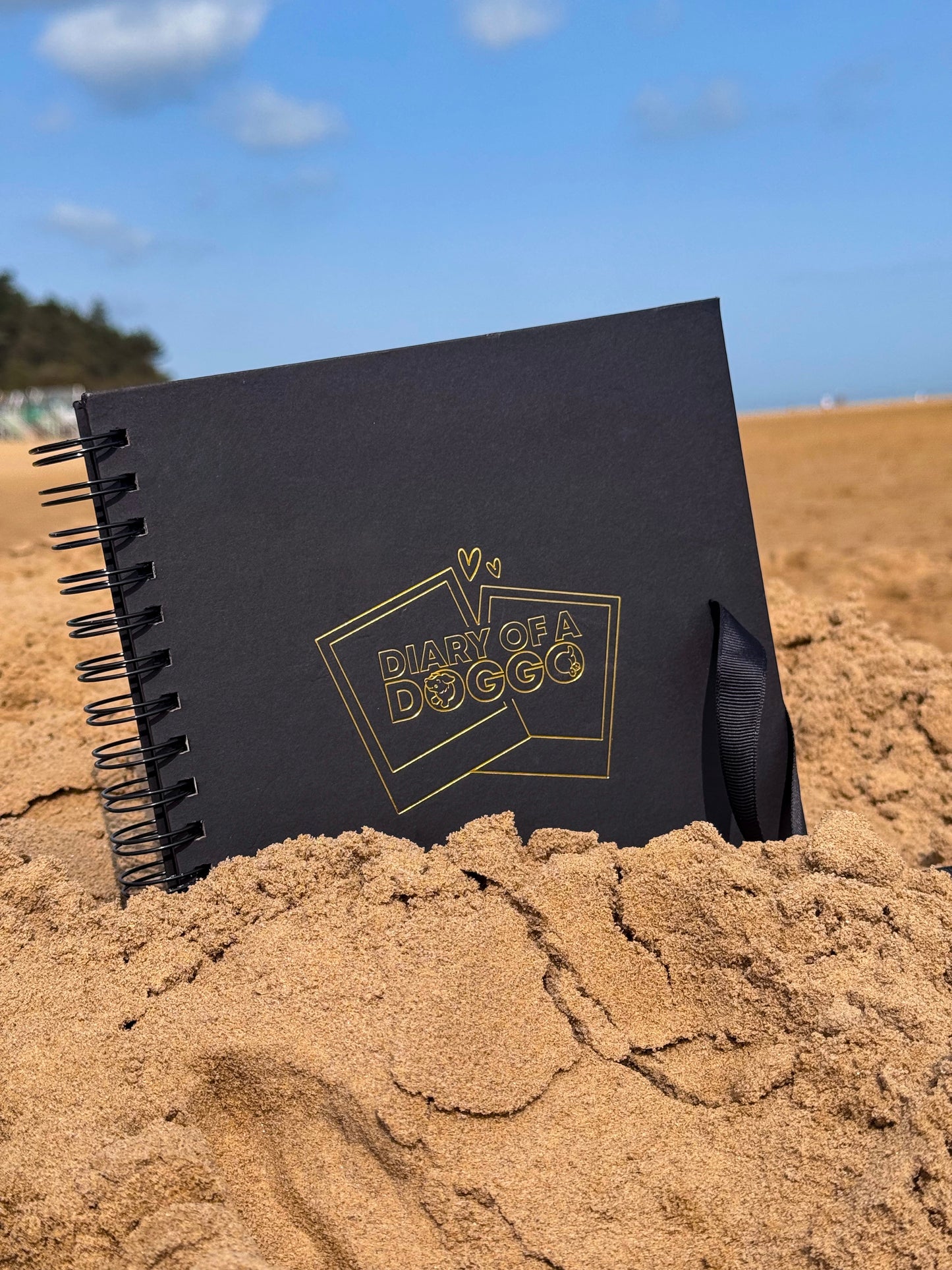 gold foiled scrapbook with 80 pages of 200gsm black cardstock