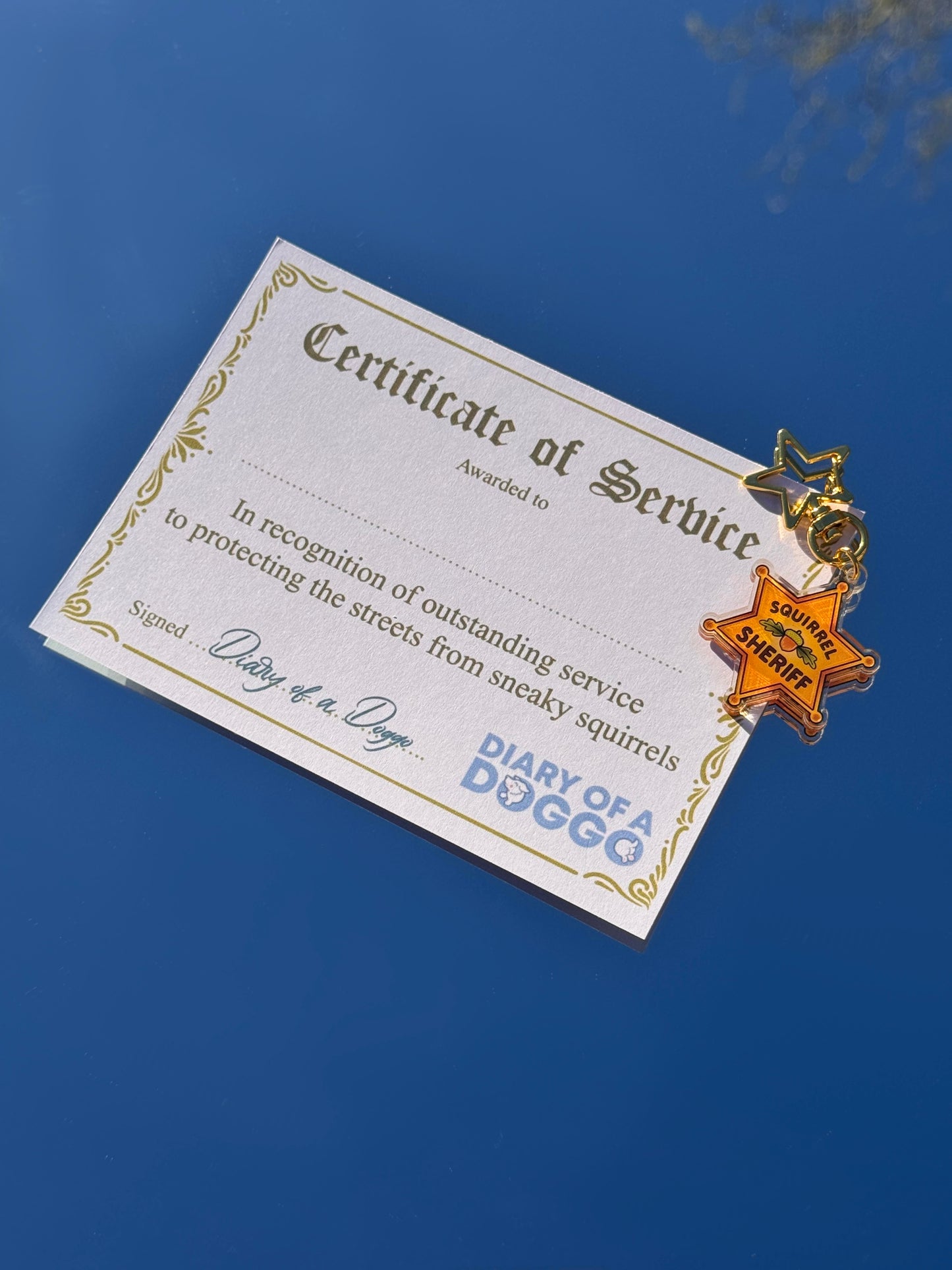 Squirrel Sheriff collar charm