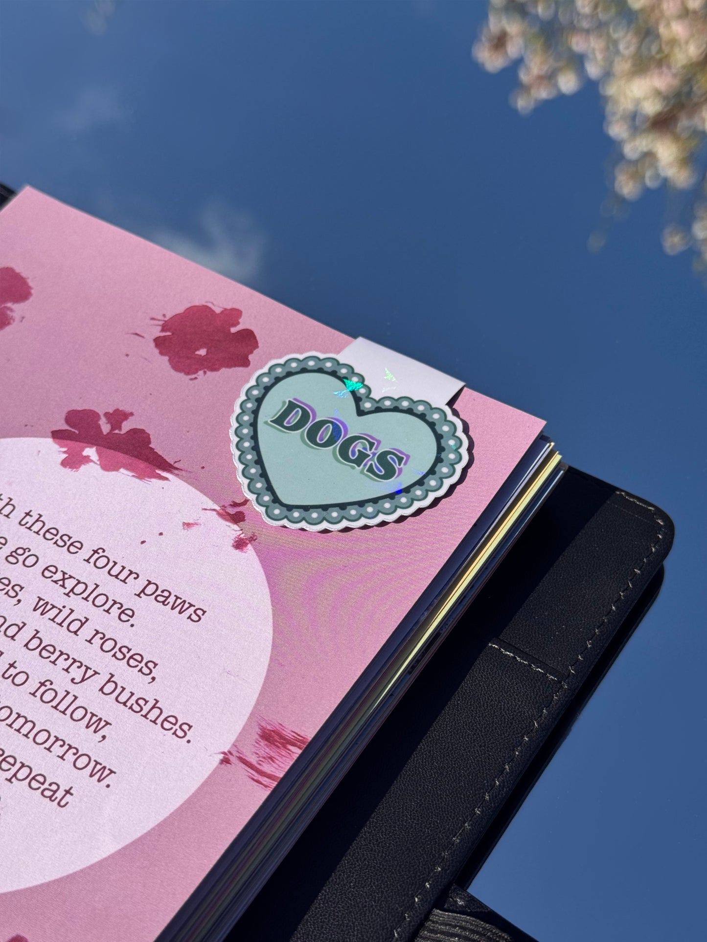 Magnetic bookmark