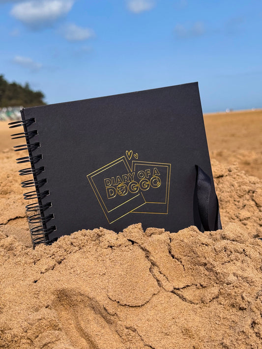 gold foiled scrapbook with 80 pages of 200gsm black cardstock 